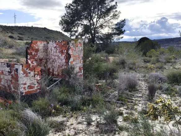 Land In Elche, Spain (6.000 M² Plot)