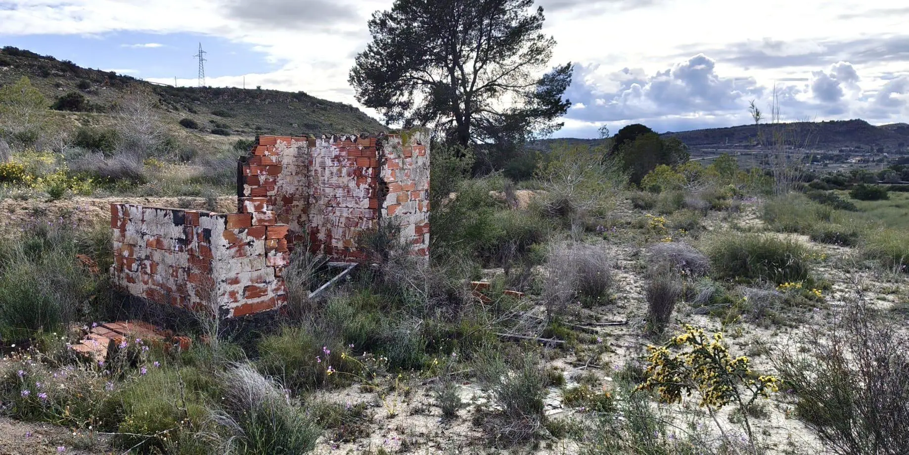 Country Land Of 0 M² In Elche, Spain
