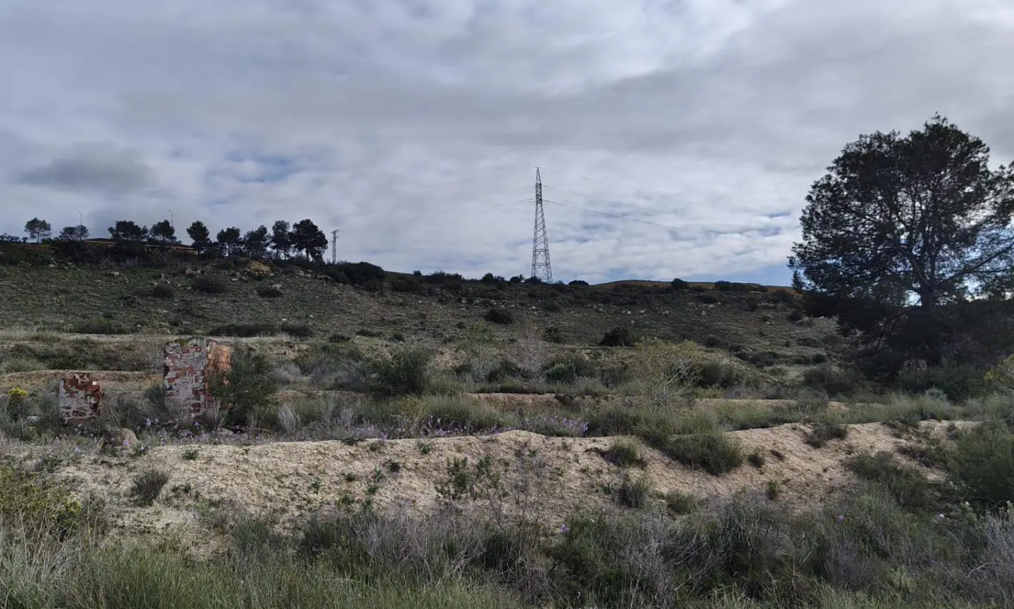Land In Elche, Spain (6.000 M² Plot)