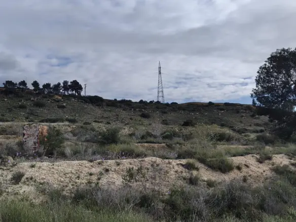 Land In Elche, Spain (6.000 M² Plot)