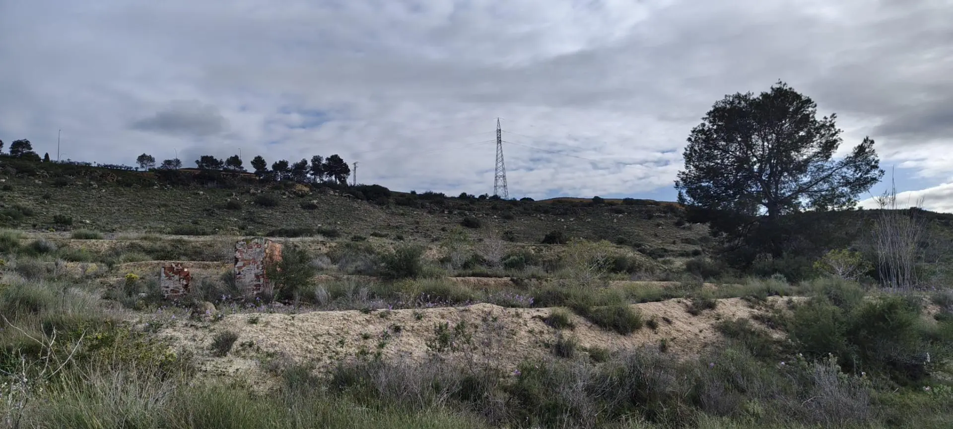 Country Land Of 0 M² In Elche, Spain