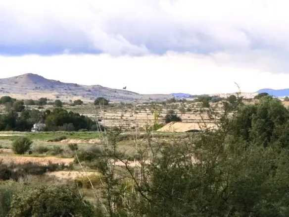 Land In Elche, Spain (6.000 M² Plot)