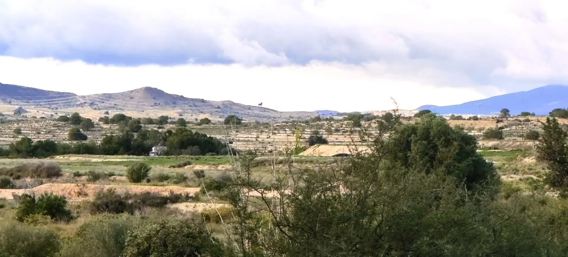 Country Land Of 0 M² In Elche, Spain