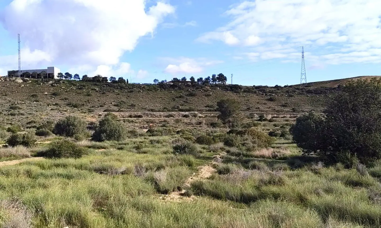 Land In Elche, Spain (6.000 M² Plot)