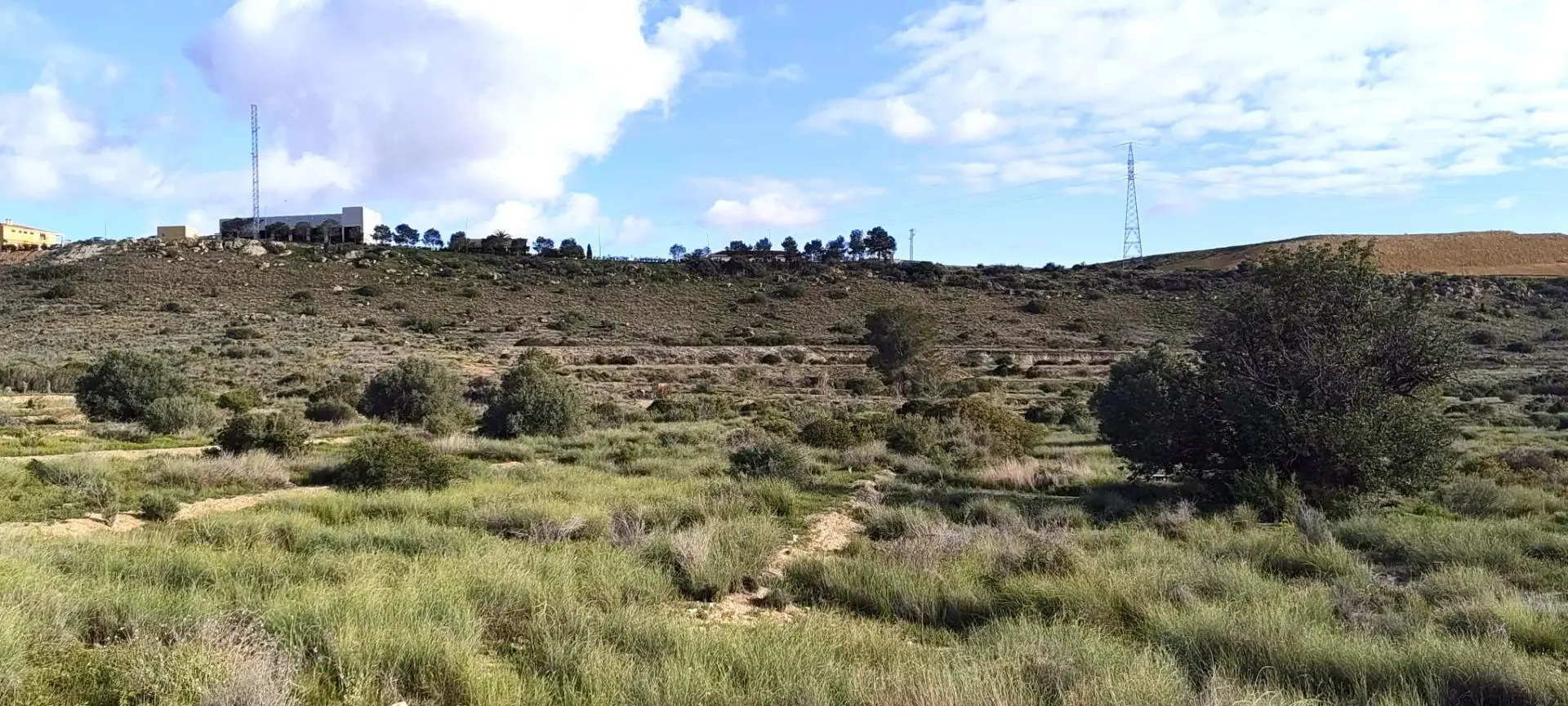 Country Land Of 0 M² In Elche, Spain