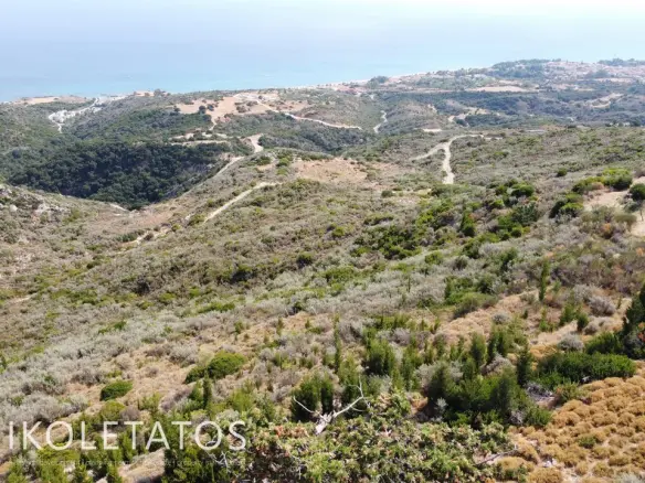 Plot Of 2000 M² In Old Skala, Greece