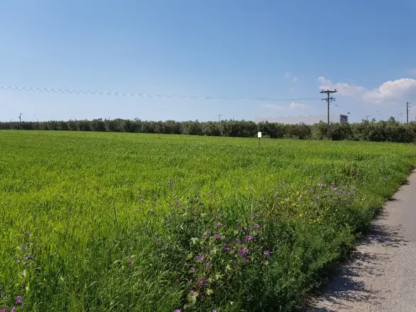 Land Of 16856 M² In Chalkidiki