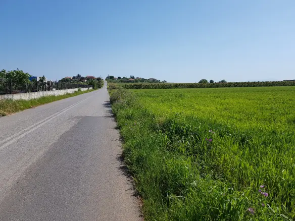 Land Of 16856 M² In Chalkidiki