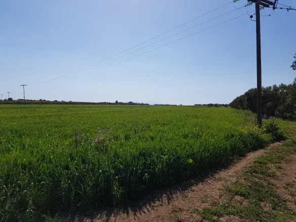 Land Of 16856 M² In Chalkidiki