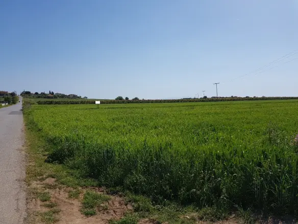 Land Of 16856 M² In Chalkidiki