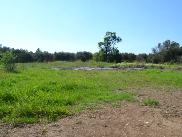 Land Of 1100 M² In Chalkidiki