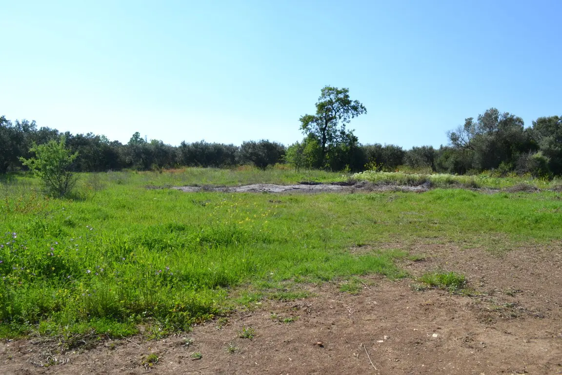Land Of 1100 M² In Chalkidiki