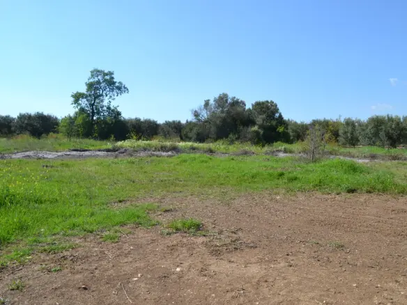 Land Of 1100 M² In Chalkidiki