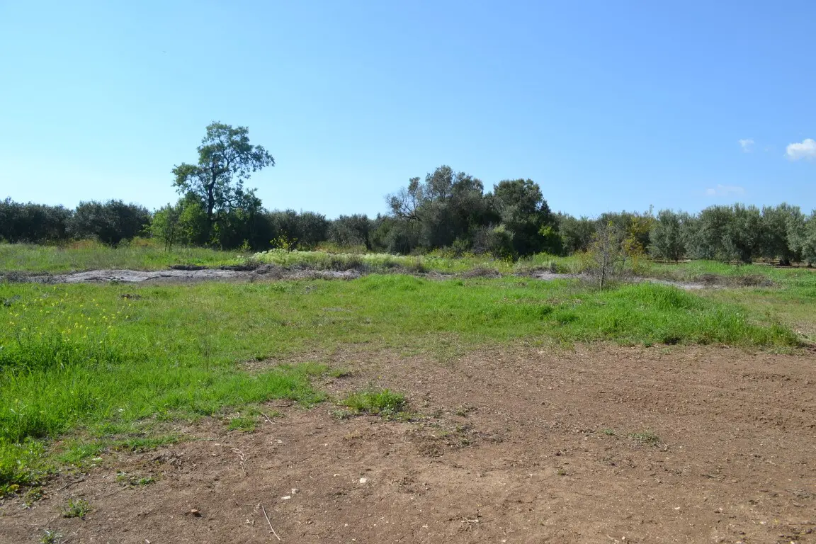 Land Of 1100 M² In Chalkidiki