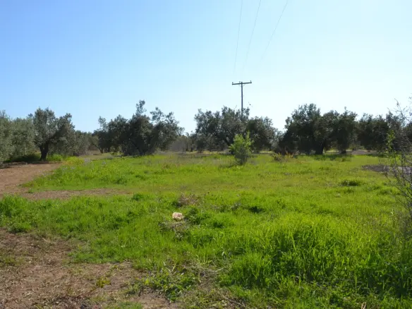 Land Of 1100 M² In Chalkidiki