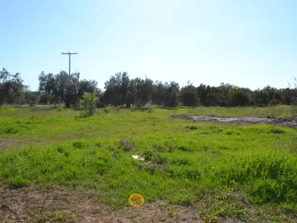 Land Of 1100 M² In Chalkidiki