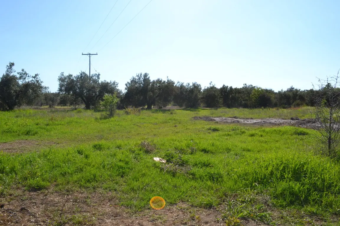 Land Of 1100 M² In Chalkidiki