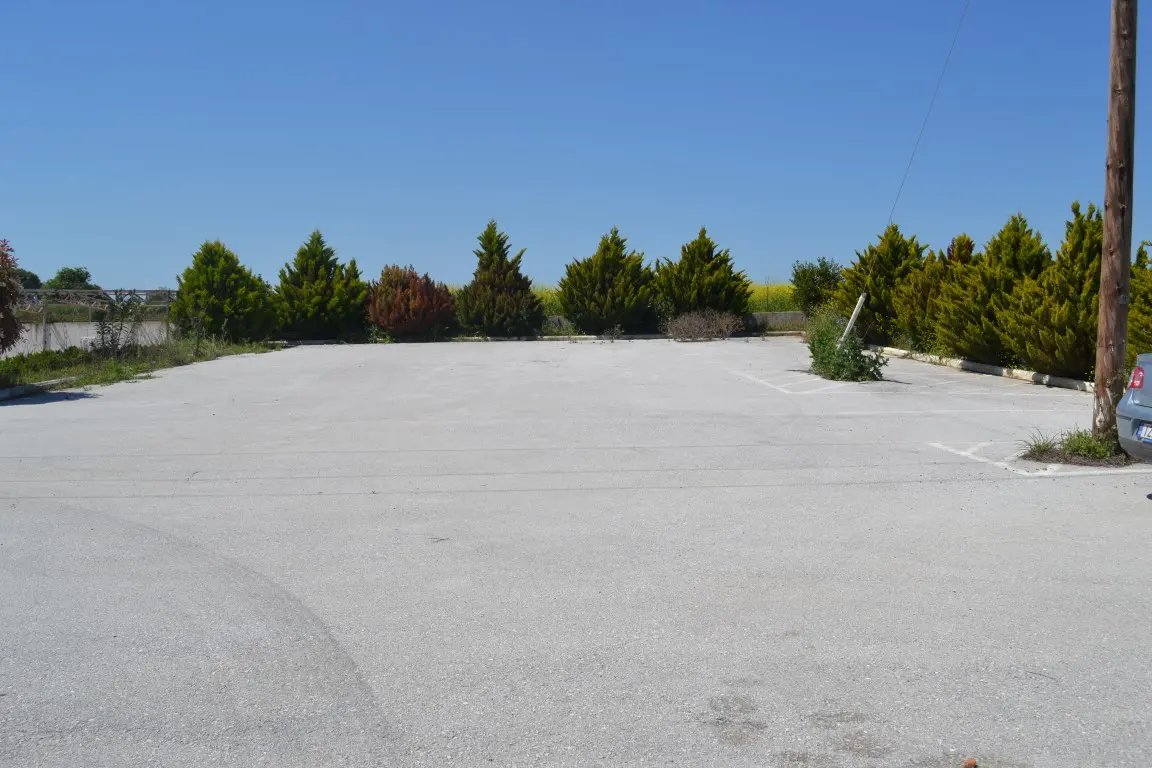 Business Of 640 M² In Kassandra, Chalkidiki