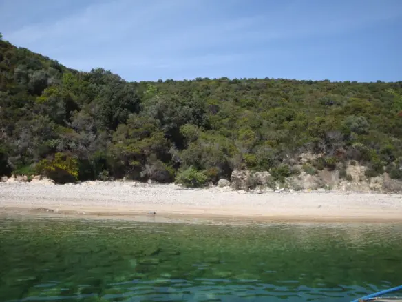 Land Of 15000 M² In Athos, Chalkidiki