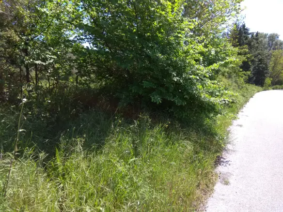 Land Of 3000 M² In Athos, Chalkidiki