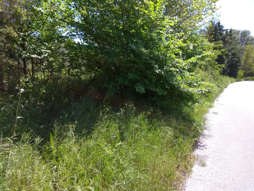 Land Of 3000 M² In Athos, Chalkidiki