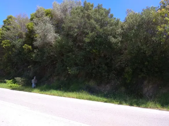 Land Of 3000 M² In Athos, Chalkidiki