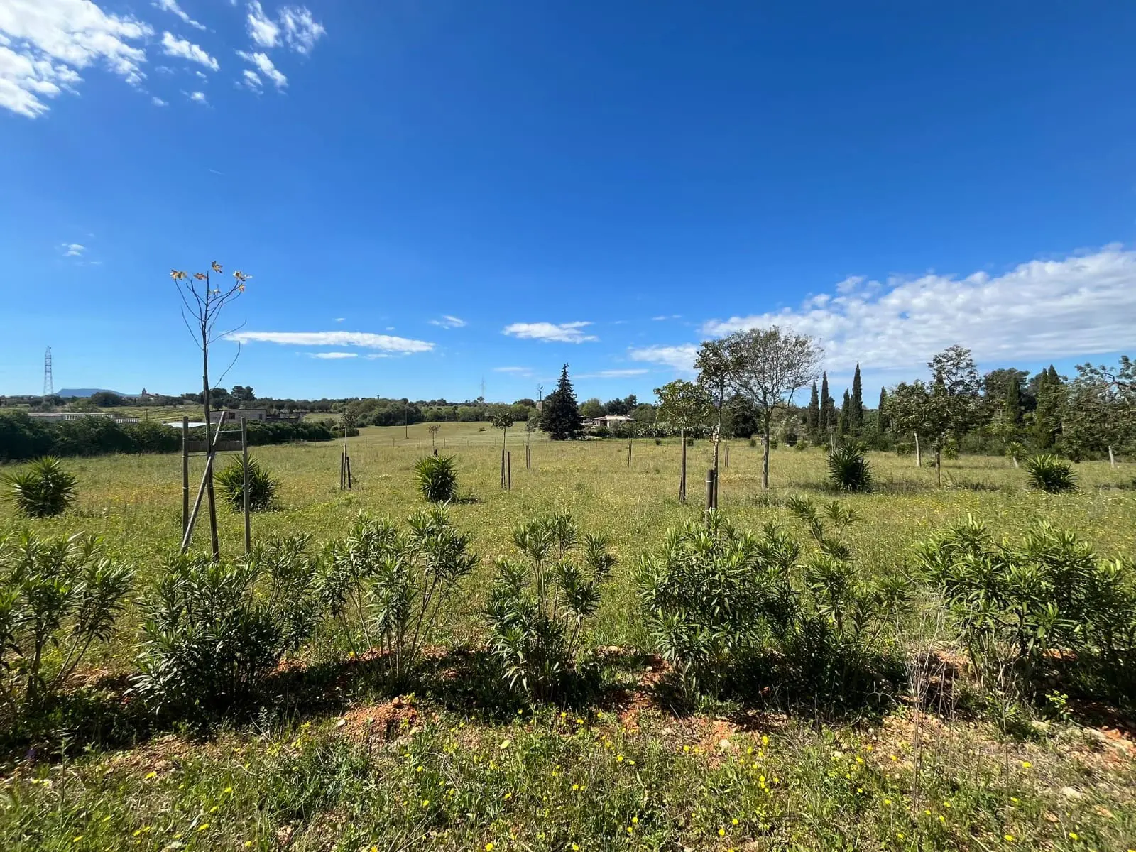 Land Of 327 M² In Sencelles