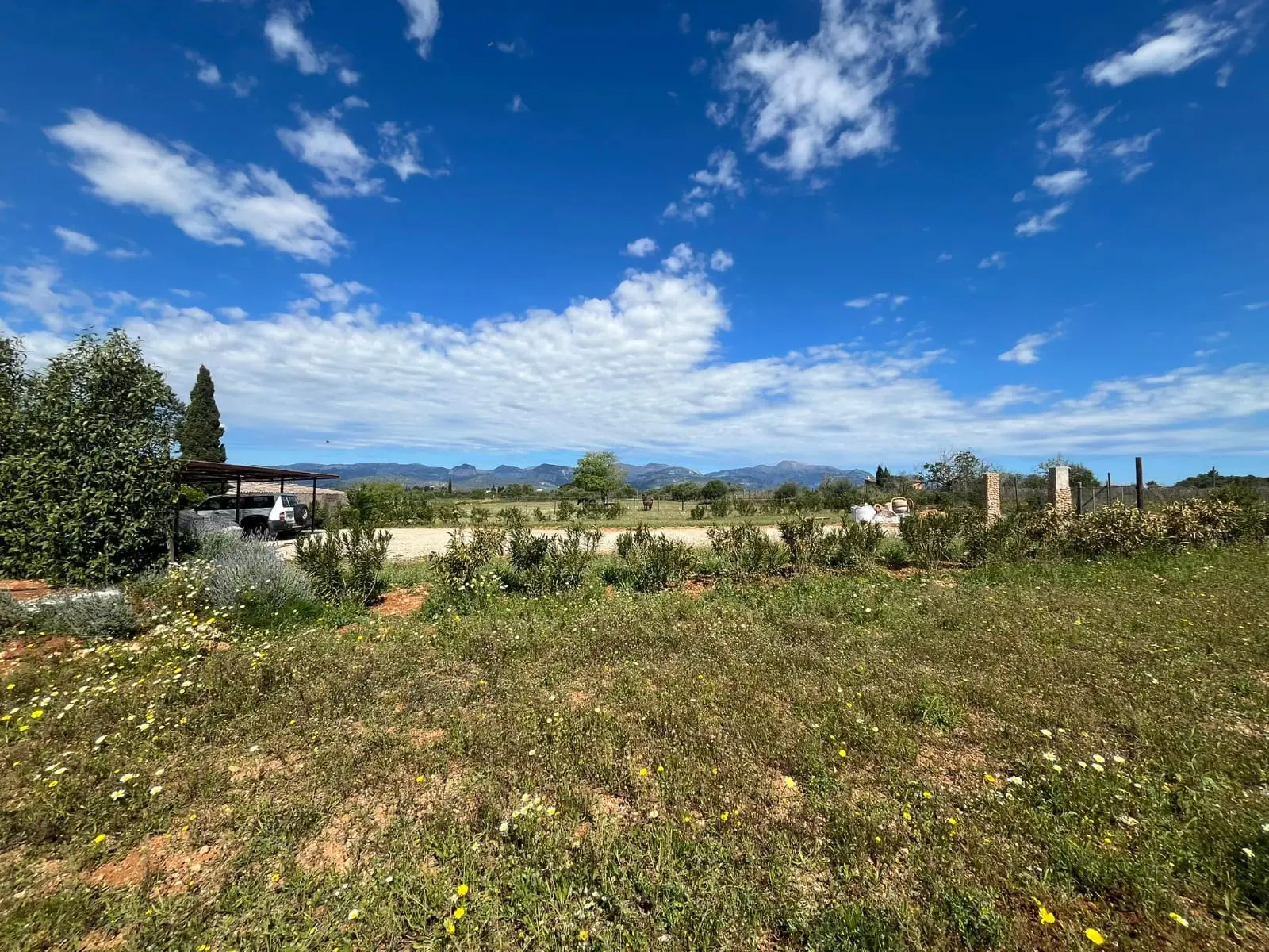 Land Of 327 M² In Sencelles