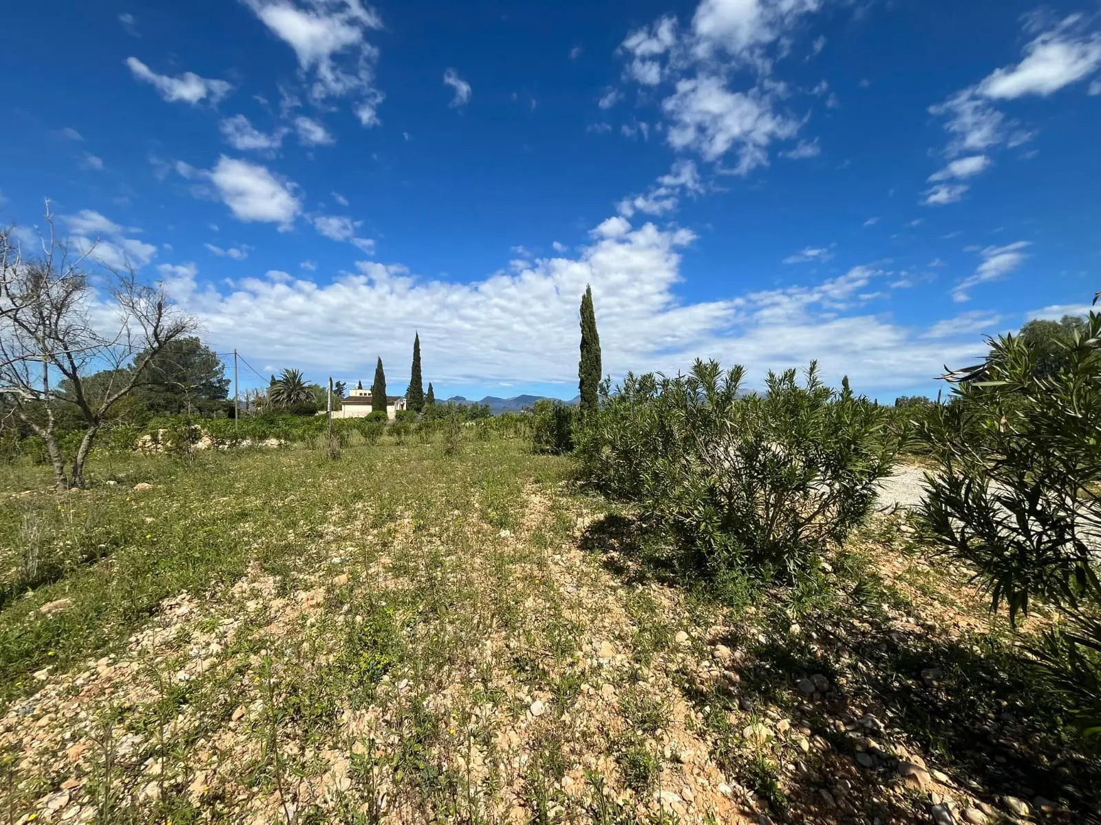 Land Of 327 M² In Sencelles