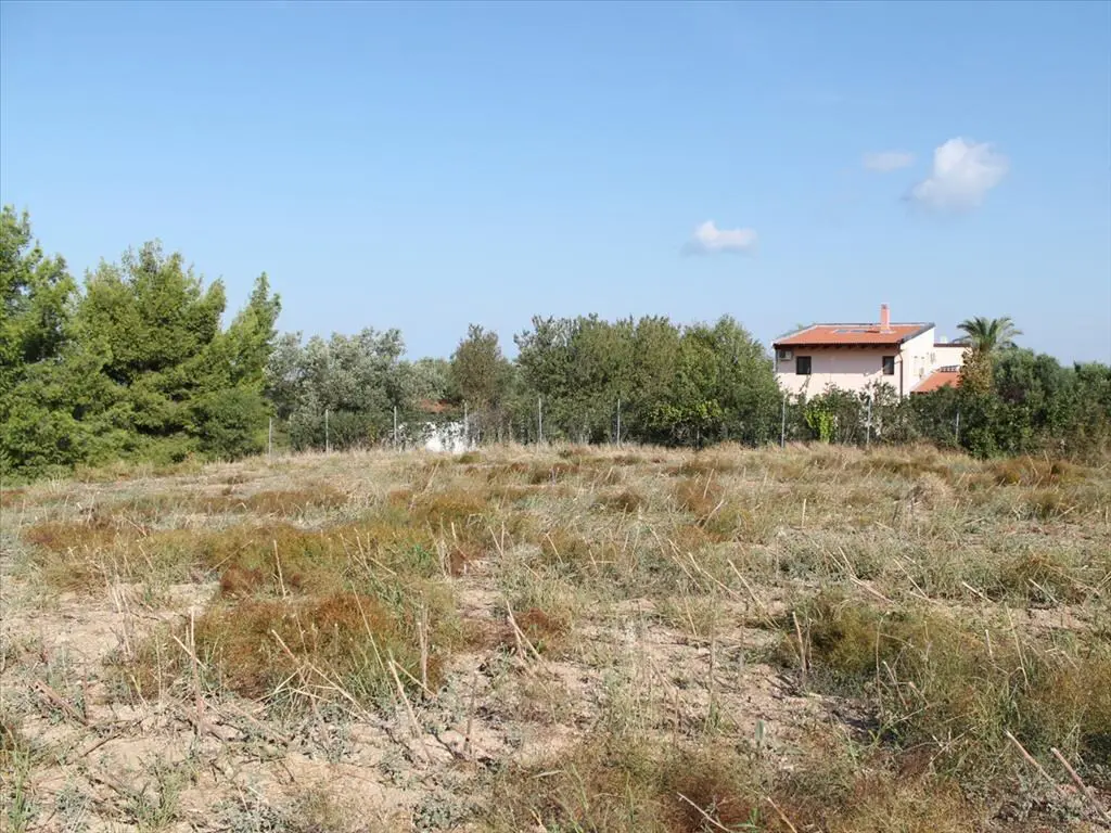 Land Of 4500 M² In Kassandra, Chalkidiki