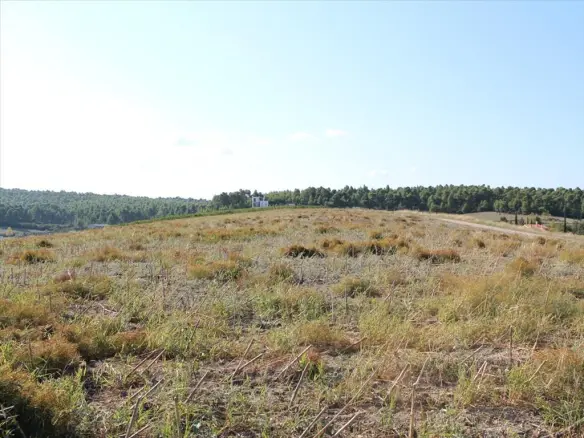 Land Of 4500 M² In Kassandra, Chalkidiki
