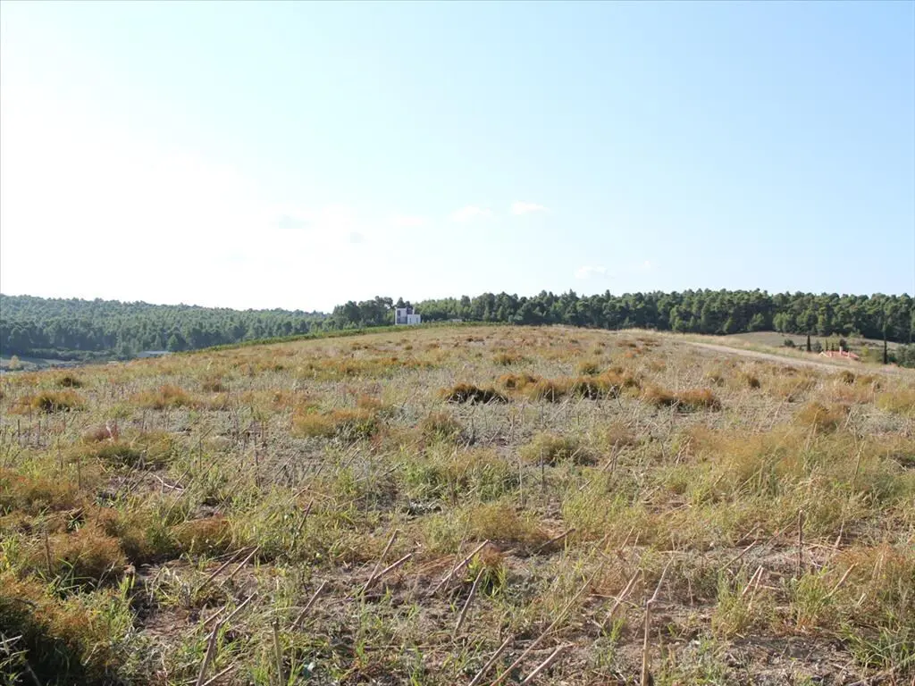 Land Of 4500 M² In Kassandra, Chalkidiki