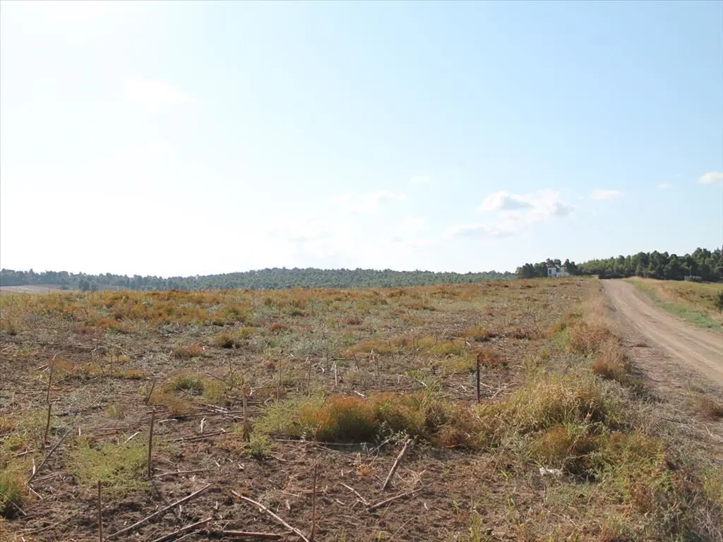 Land Of 4500 M² In Kassandra, Chalkidiki