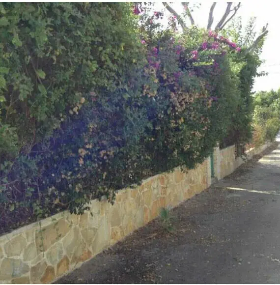 Detached House Of 85 M² In Athens