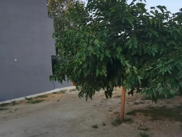 Business Of 240 M² In Sithonia, Chalkidiki