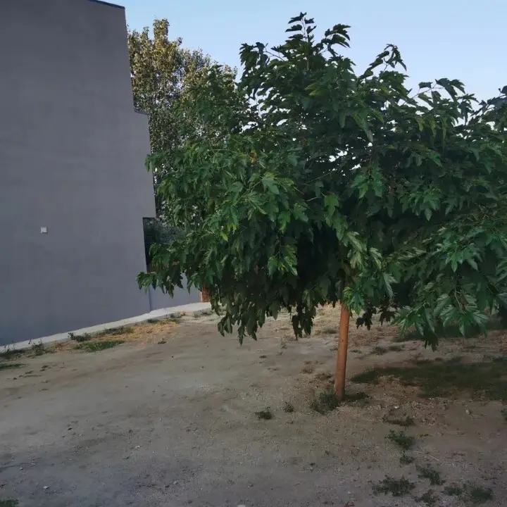 Business Of 240 M² In Sithonia, Chalkidiki