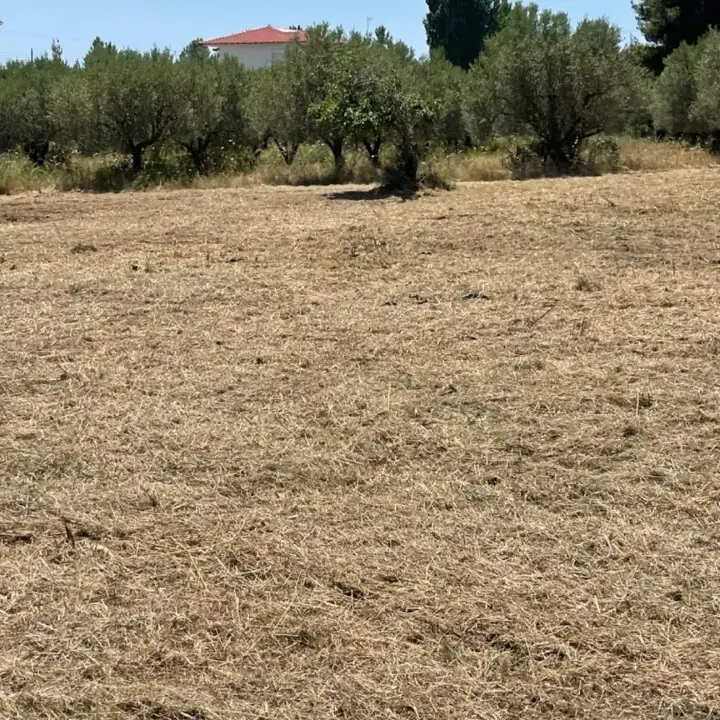 Land Of 1800 M² In Sithonia, Chalkidiki