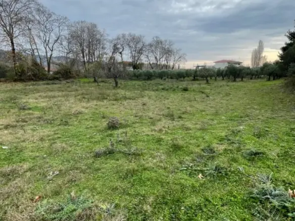 Land Of 1800 M² In Sithonia, Chalkidiki