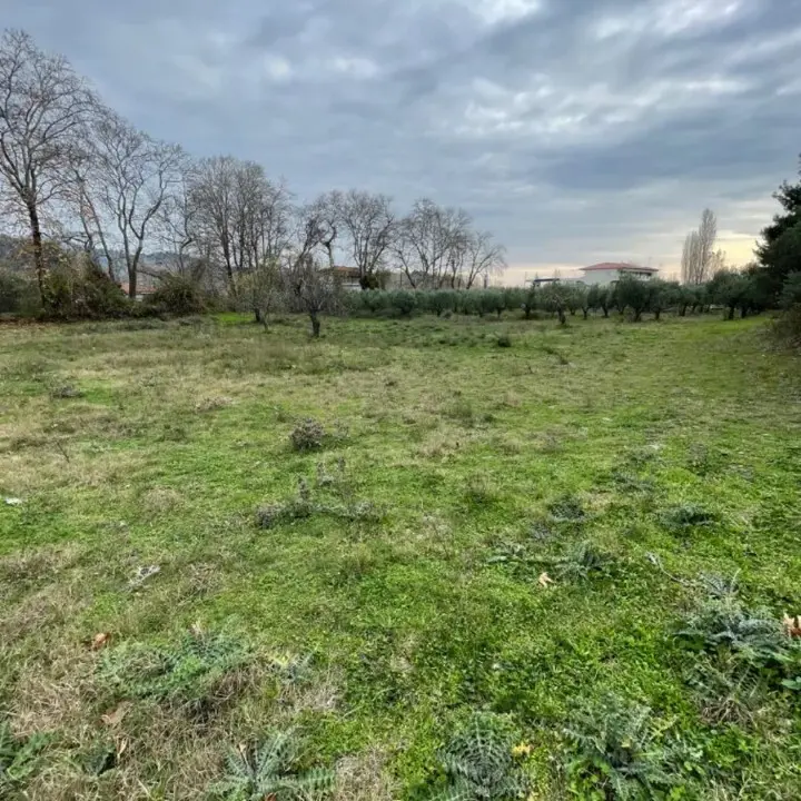 Land Of 1800 M² In Sithonia, Chalkidiki