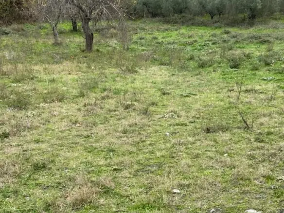 Land Of 1800 M² In Sithonia, Chalkidiki