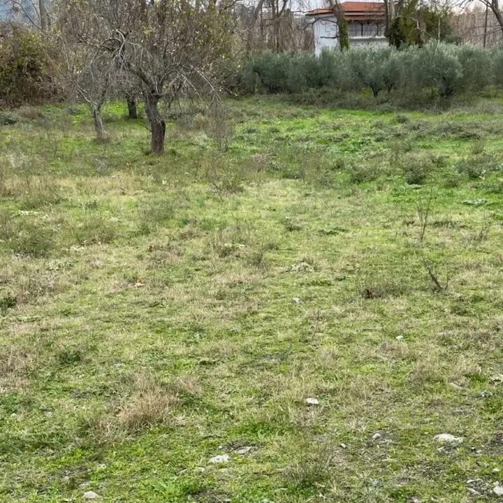 Land Of 1800 M² In Sithonia, Chalkidiki