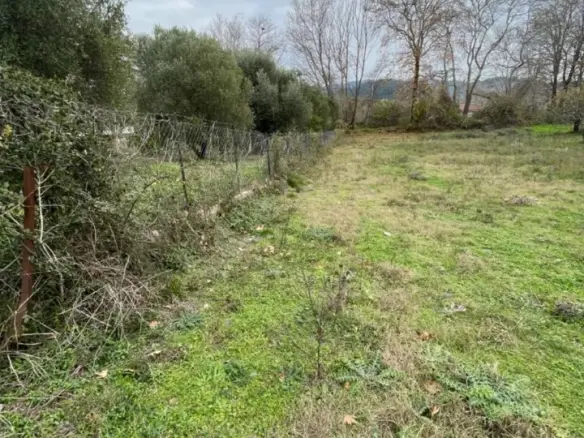 Land Of 1800 M² In Sithonia, Chalkidiki