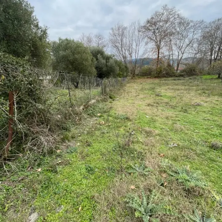 Land Of 1800 M² In Sithonia, Chalkidiki