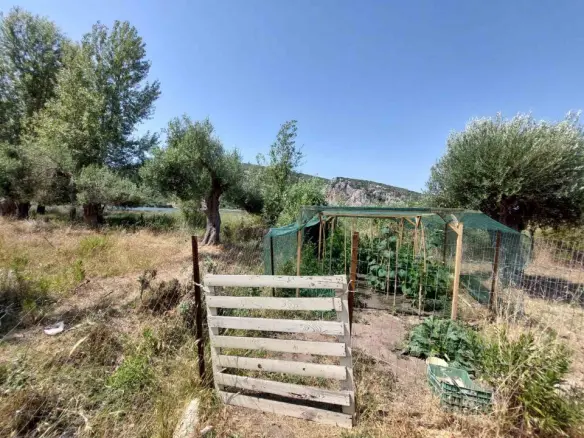 Detached House Of 45 M² In Sithonia, Chalkidiki