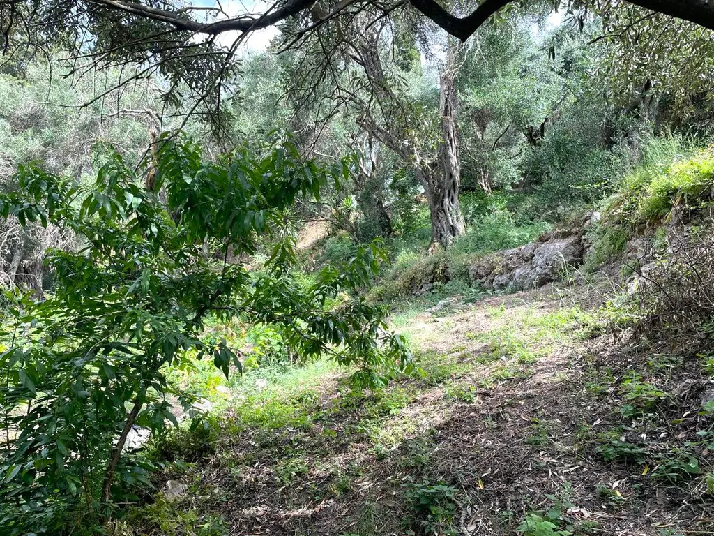 Maisonette Of 135 M² In Corfu