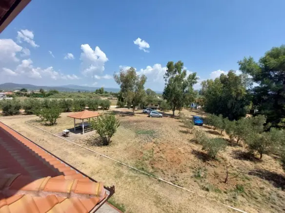 Complex Of 500 M² In Sithonia, Chalkidiki