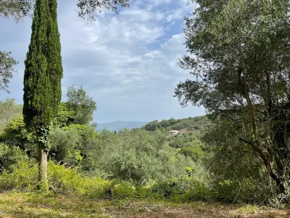 Land Of 5020 M² In Corfu