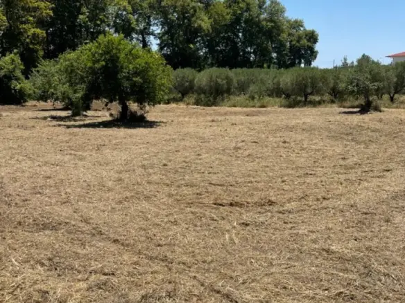 Land Of 1800 M² In Sithonia, Chalkidiki