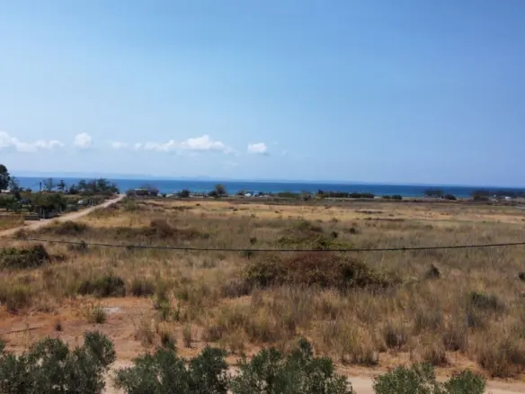 Complex Of 500 M² In Sithonia, Chalkidiki