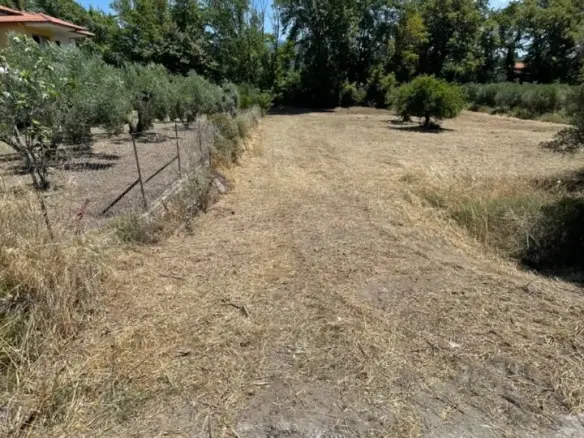 Land Of 1800 M² In Sithonia, Chalkidiki